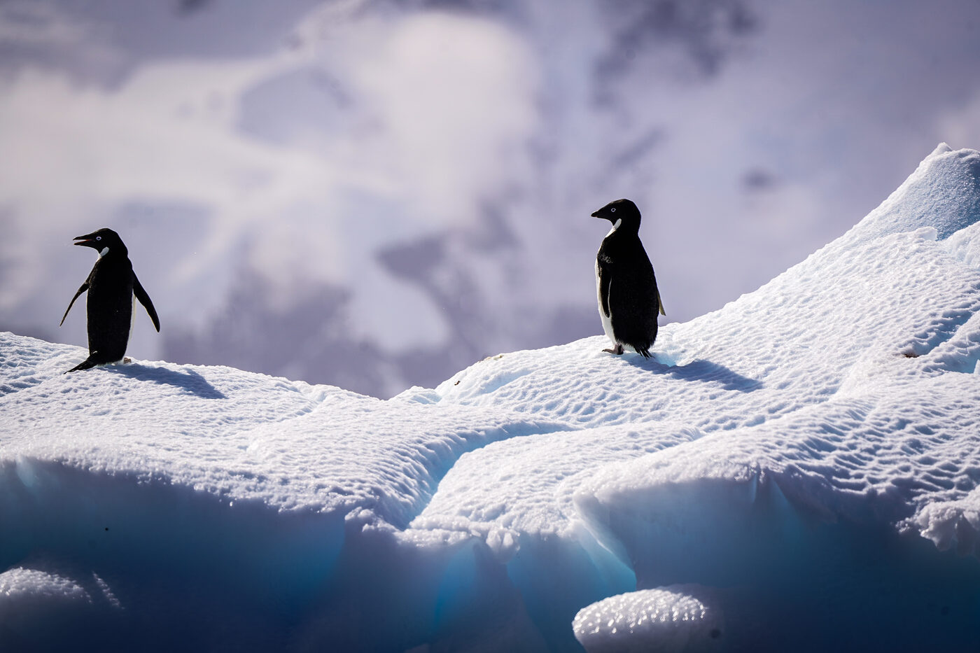 Travel photograph by Cole Sjoholm, available for licensing on Getty Images