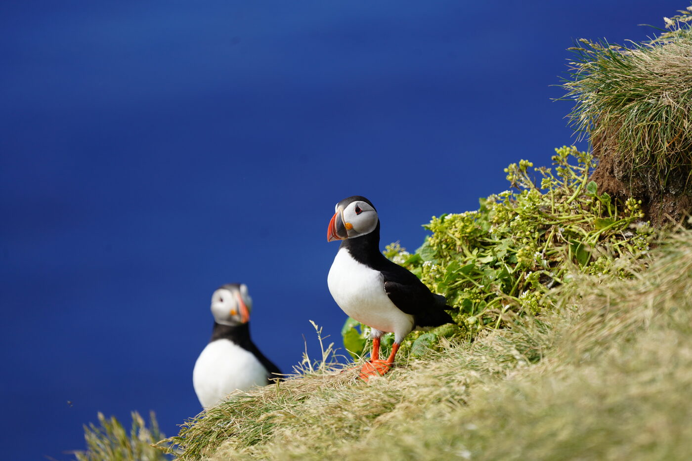 Travel photograph by Cole Sjoholm, available for licensing on Getty Images