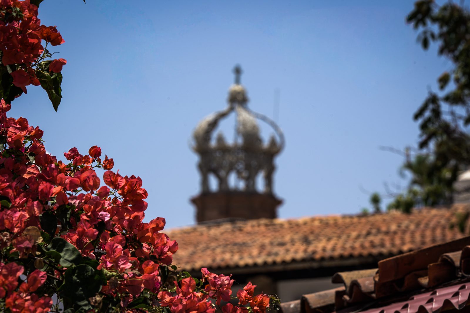 Bougainvillea framing the crown of Our Lady of Guadalupe, Puerto Vallarta, photographed by Cole Sjoholm